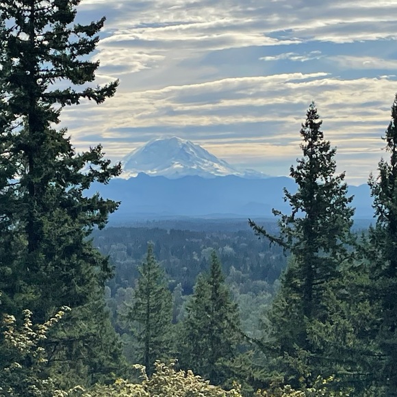 Meet your Posher, Julia - Picture 1 of 2